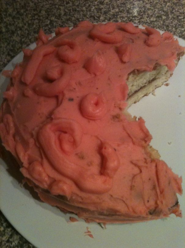 The Picture In The Book.... And The Finished Version