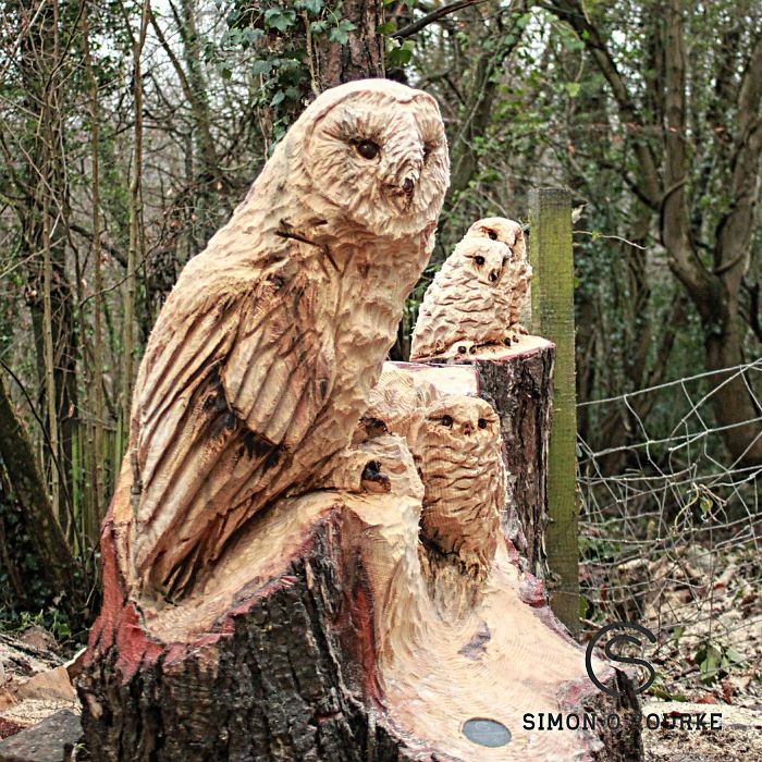 I Create Detailed Wooden Sculptures Carving Them With A Chainsaw