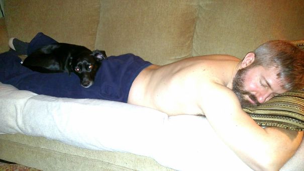 Constant Couch Companion, Looks Like He Really Hates It, Right?