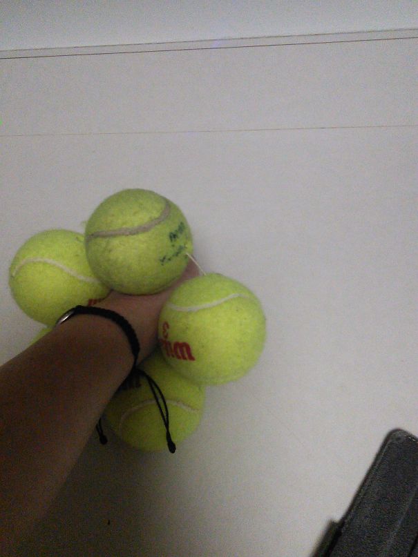 My Boyfriend Asked Me What I Wanted For Christmas. I Asked For A Tennis Bracelet... Not A Tennis Ball Bracelet