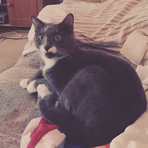 hustusskylery avatar