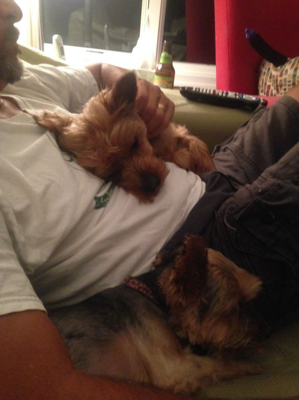 Every Night With Daddy