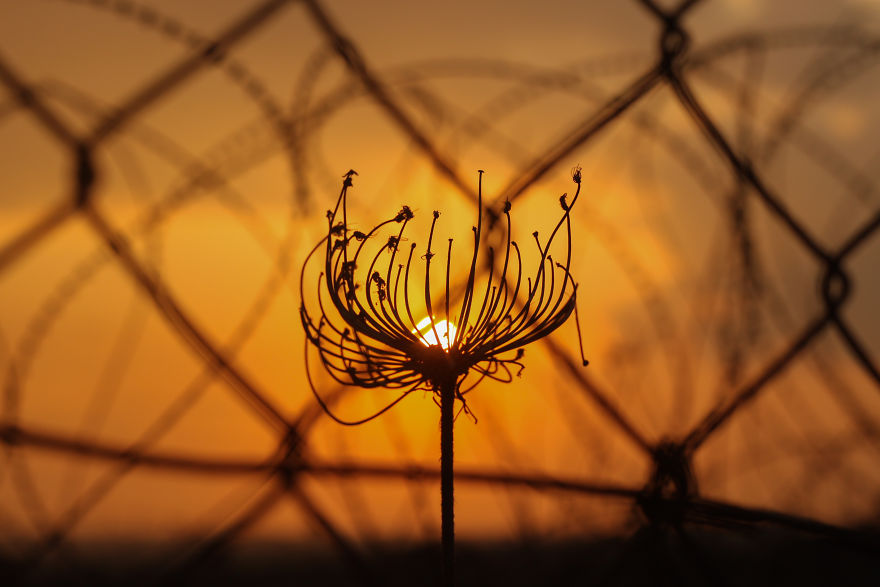 The Golan Heights-Between Heaven And A War Zone The Golan Heights-Between Heaven And A War Zone