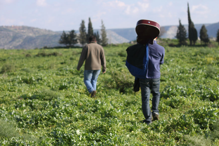 The Golan Heights-Between Heaven And A War Zone