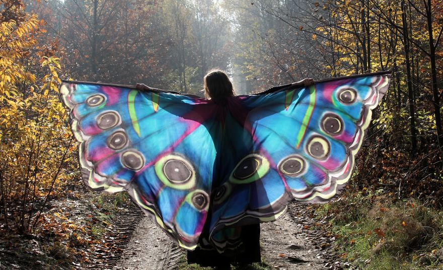 I Paint Silk Butterfly Wings