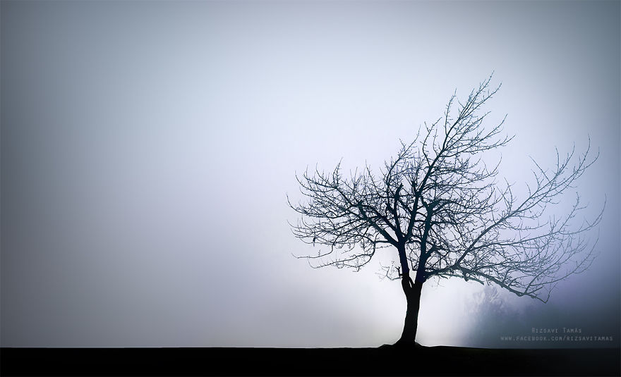 I Spent Four Years Capturing My Hometown When Its Covered By Fog