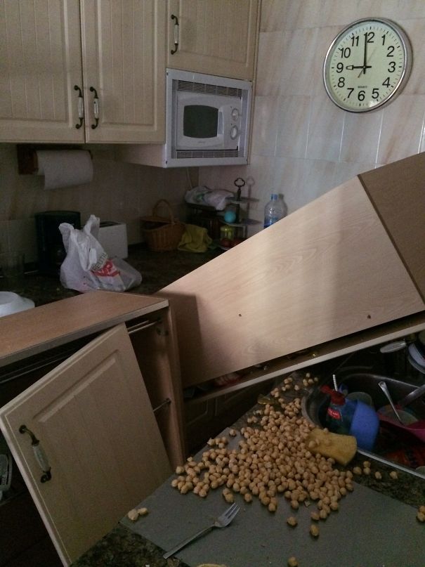 Definitely, Not Chickpeas Day