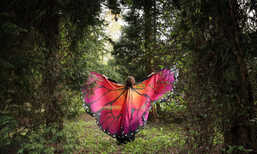 I Paint Silk Butterfly Wings