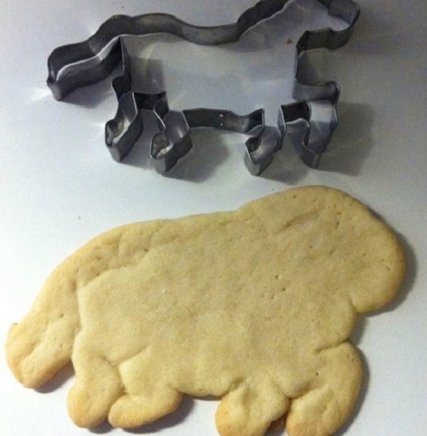 I Wanted To Finally Impress My Mom With My Baking Skills, Besides I Am More Of A Dog Person Anyways