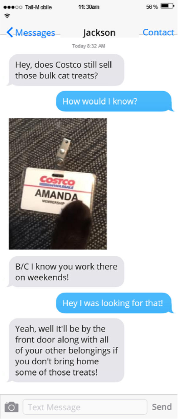 Texts From My Cats Compilation (part 2)