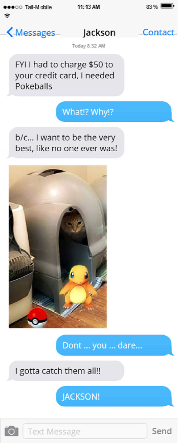 Texts From My Cats Compilation (part 2)