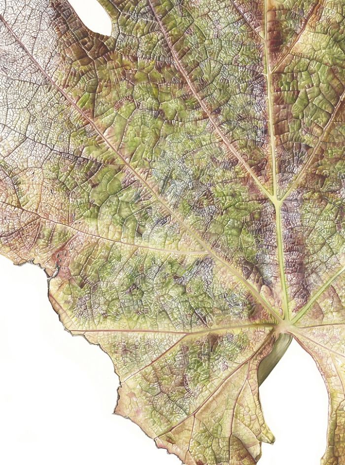 For The Last Two Years, I Have Been Painting Leaves That Tell A Story For The Last Two Years, I Have Been Painting Leaves That Tell A Story