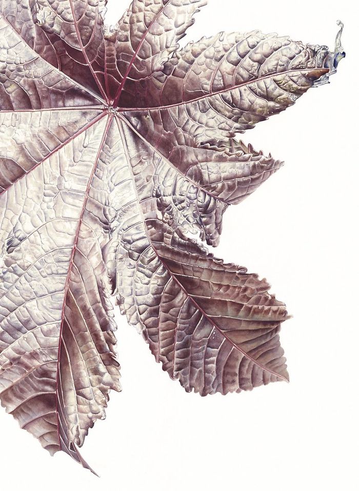 For The Last Two Years, I Have Been Painting Leaves That Tell A Story For The Last Two Years, I Have Been Painting Leaves That Tell A Story