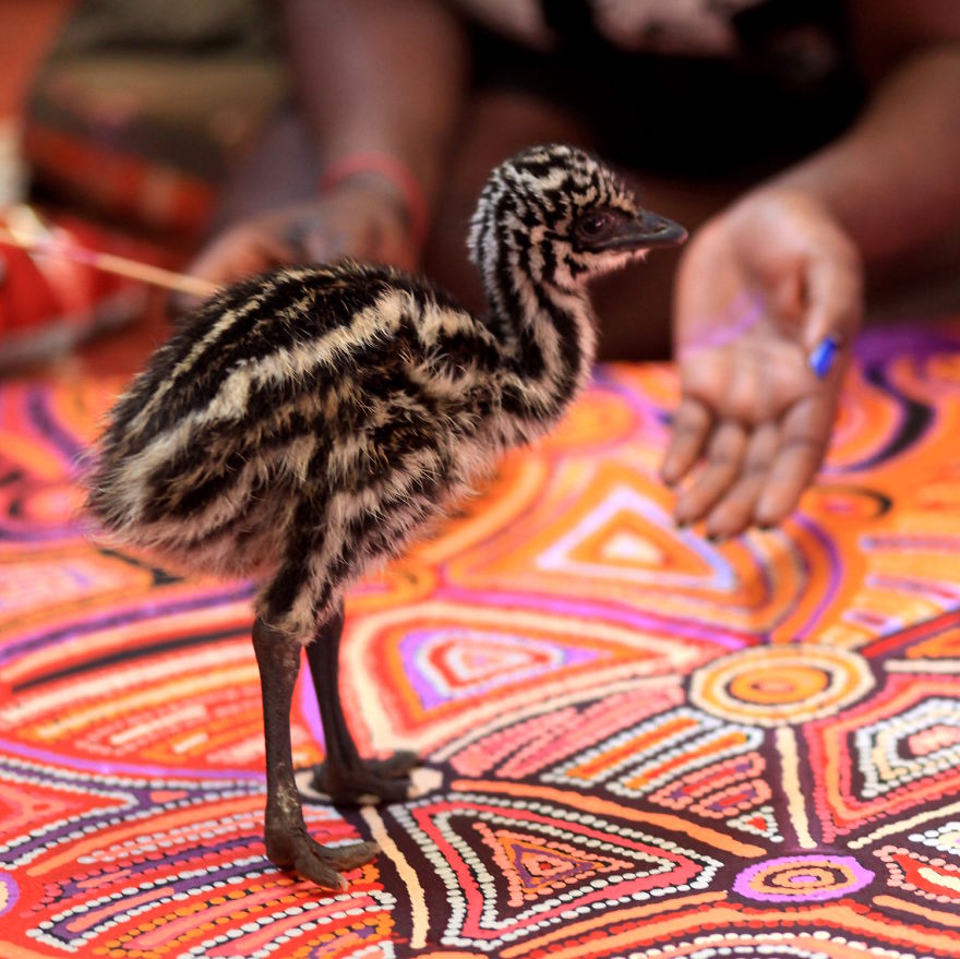 Let’s Take A Moment To Reflect On Australian Aboriginal Art That Is Over 50,000 Years Old! Let’s Take A Moment To Reflect On Australian Aboriginal Art That Is Over 50,000 Years Old!