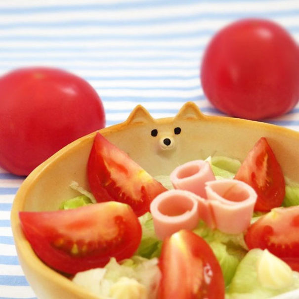 Shiba Inu Bowl