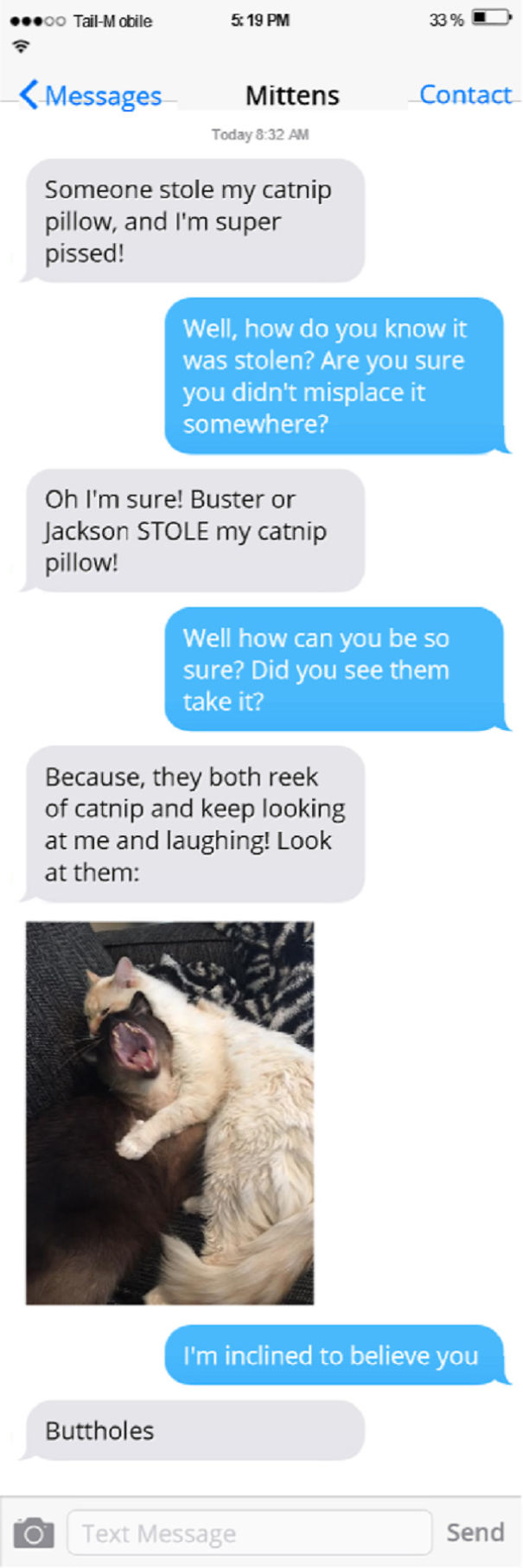 Texts From My Cats Compilation (part 2) Texts From My Cats Compilation (part 2)