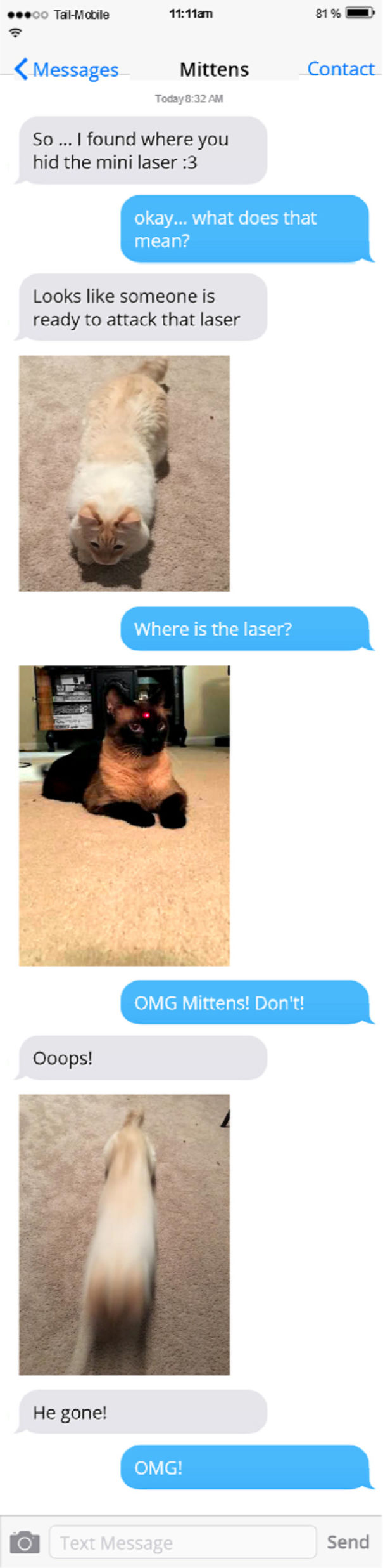 Texts From My Cats Compilation (part 2)