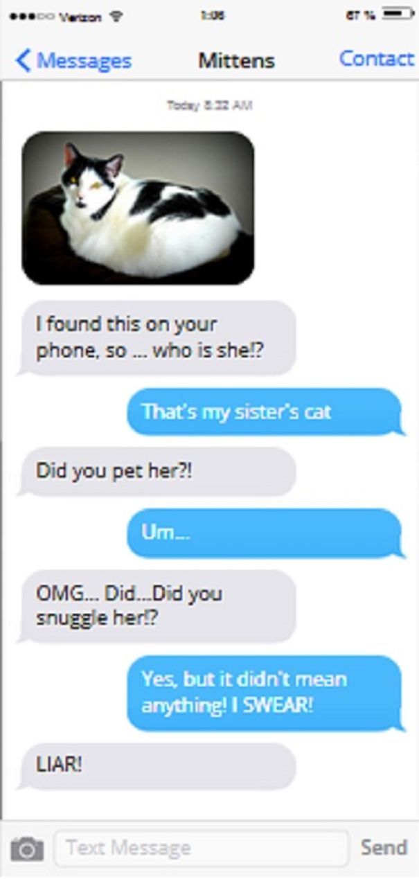 Texts From My Cats Compilation (part 2) Texts From My Cats Compilation (part 2)