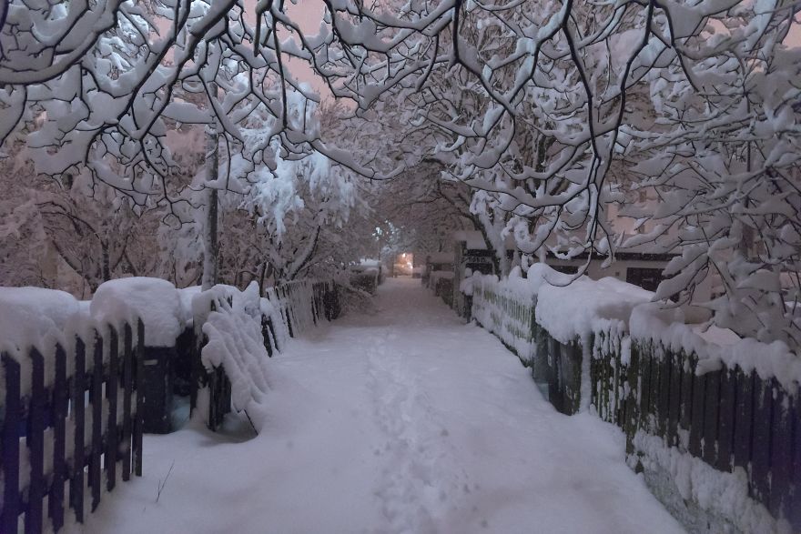 Reykjavik Snowstorm Photos
