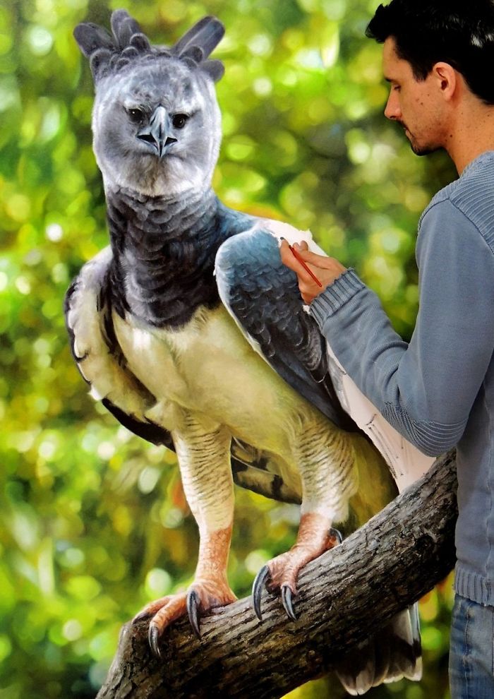 Photorealistic-paintings-fabiano-millani