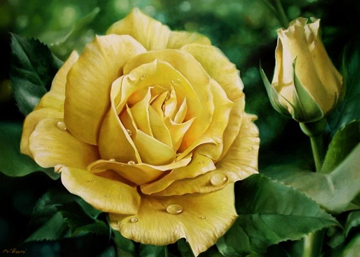 Photorealistic-paintings-fabiano-millani