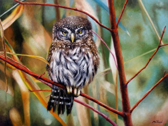 Photorealistic-paintings-fabiano-millani