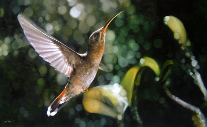 Photorealistic-paintings-fabiano-millani