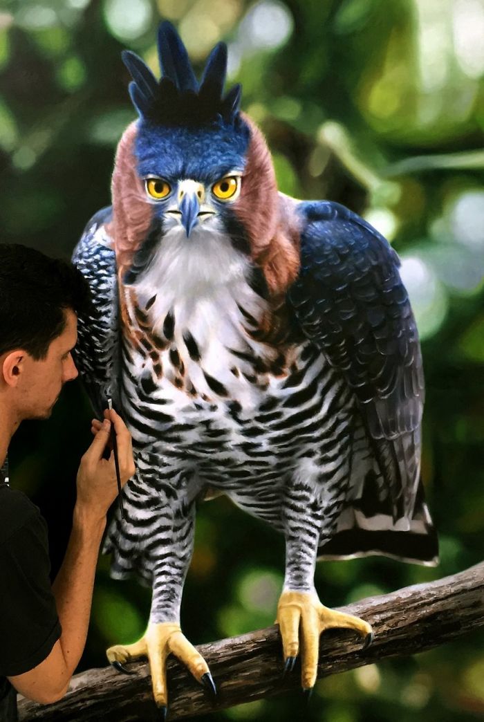 Photorealistic-paintings-fabiano-millani