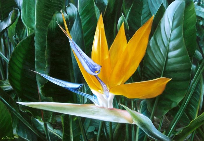 Photorealistic-paintings-fabiano-millani