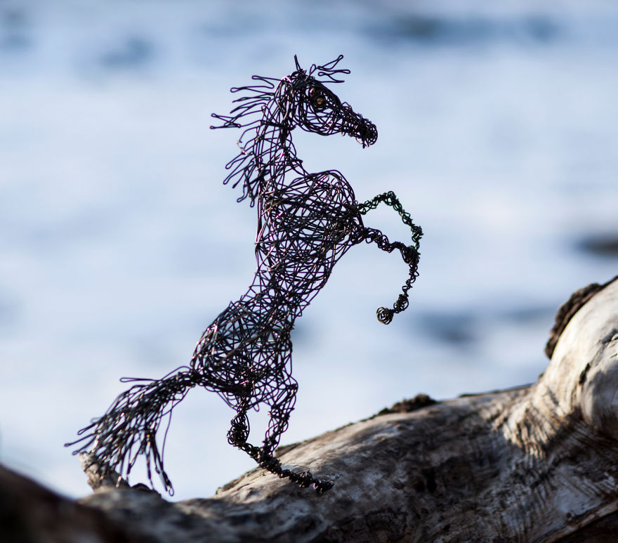 I Create Animal Sculptures Using Wire To Spread Awareness About Our Endangered Nature