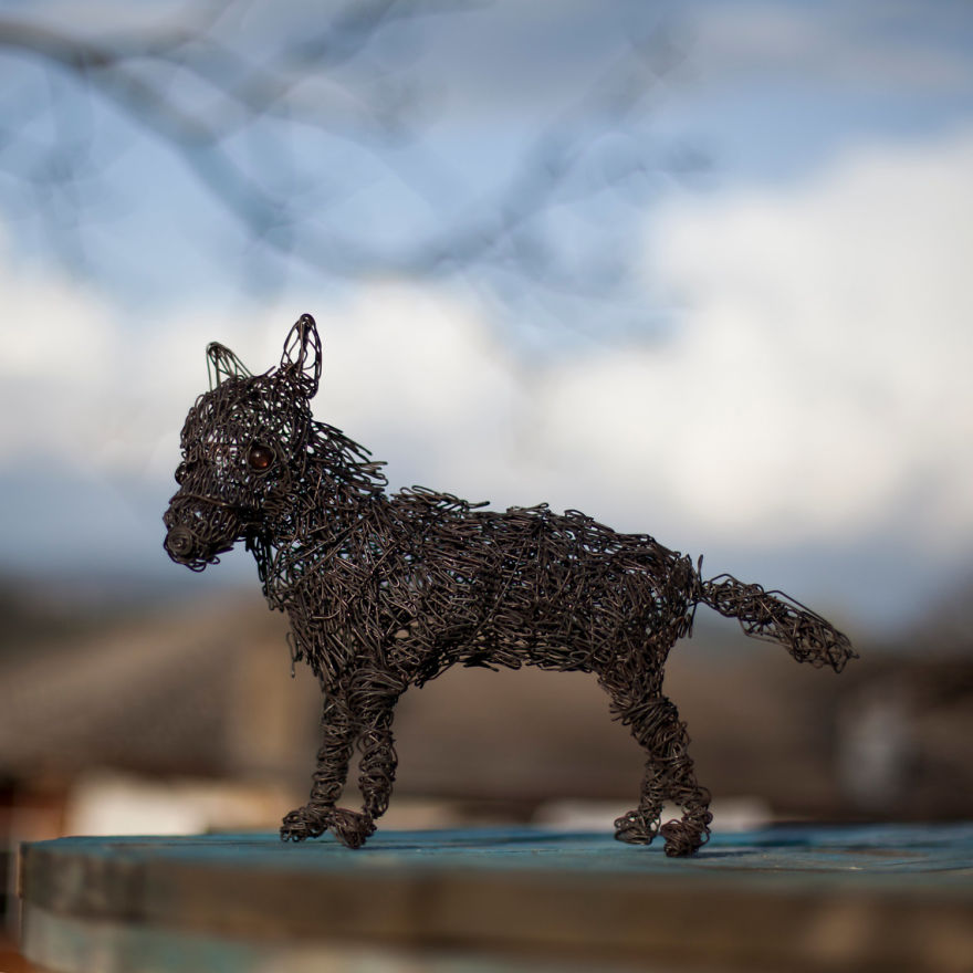 I Create Animal Sculptures Using Wire To Spread Awareness About Our Endangered Nature