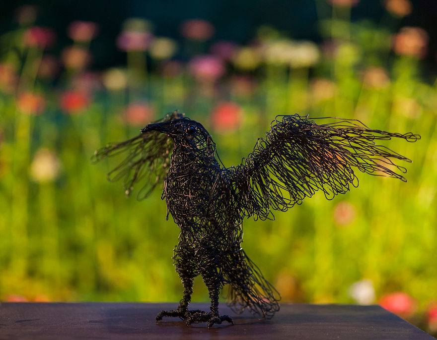 I Create Animal Sculptures Using Wire To Spread Awareness About Our Endangered Nature