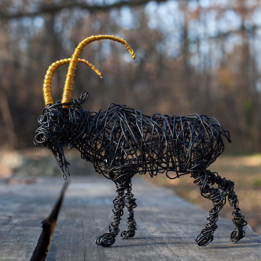 I Create Animal Sculptures Using Wire To Spread Awareness About Our Endangered Nature