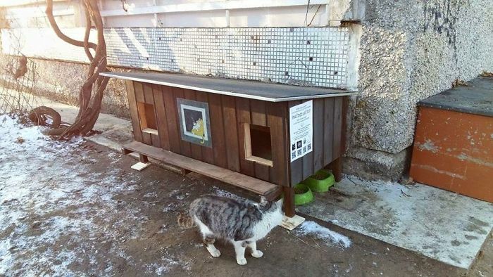 We Built Tiny Houses For Homeless Cats In Riga To Help Them Survive Winter We Built Tiny Houses For Homeless Cats In Riga To Help Them Survive Winter