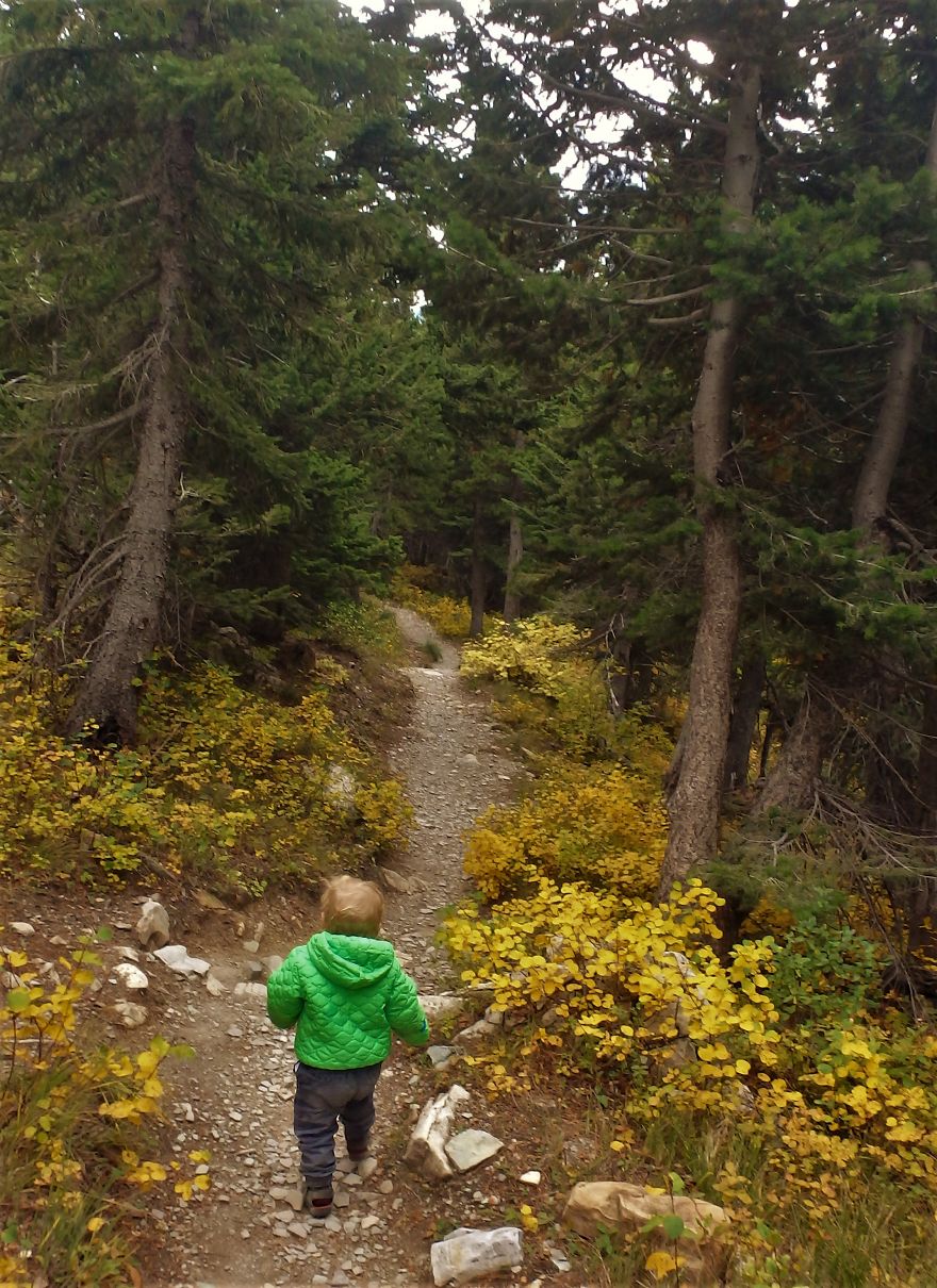 Glacier National Park In September