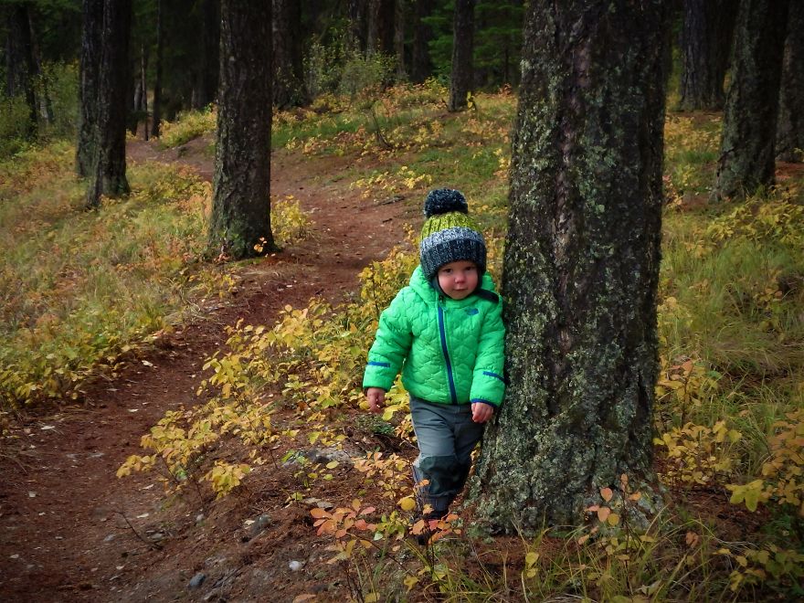 Yellowstone National Park