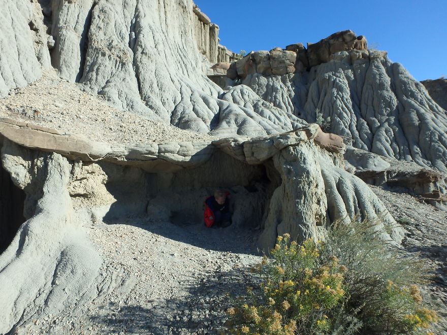 Theodore Roosevelt National Park