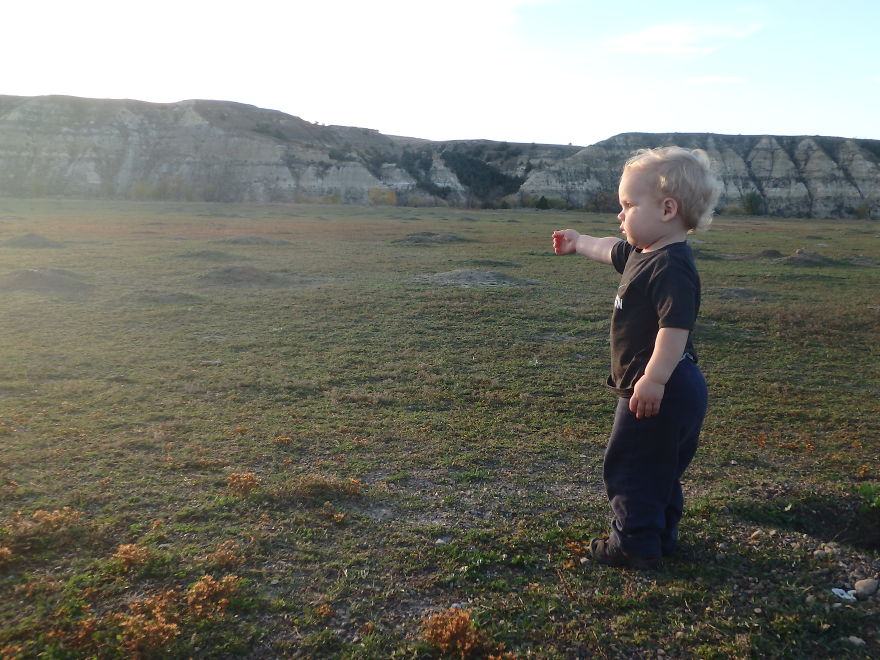 Prairie Dogs At Sunset, Theodore Roosevelt National Park