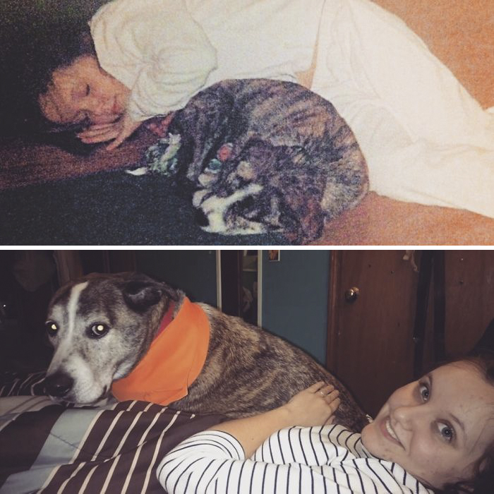 Reasons You Should Never Own A Rescue