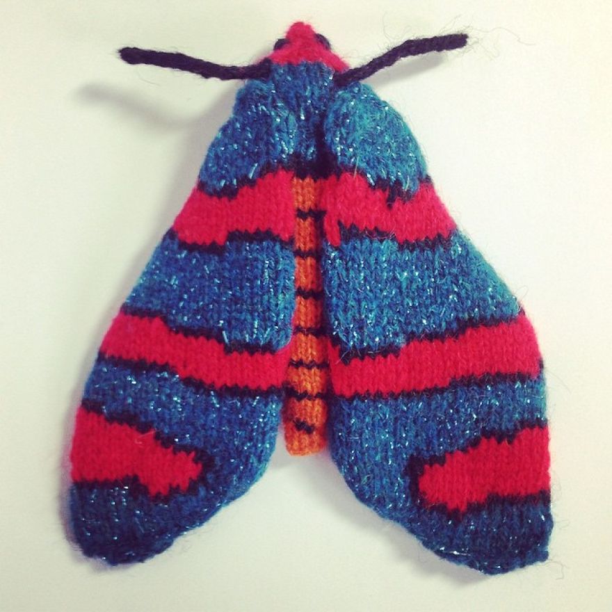 Fire Grid Burnet Moth
