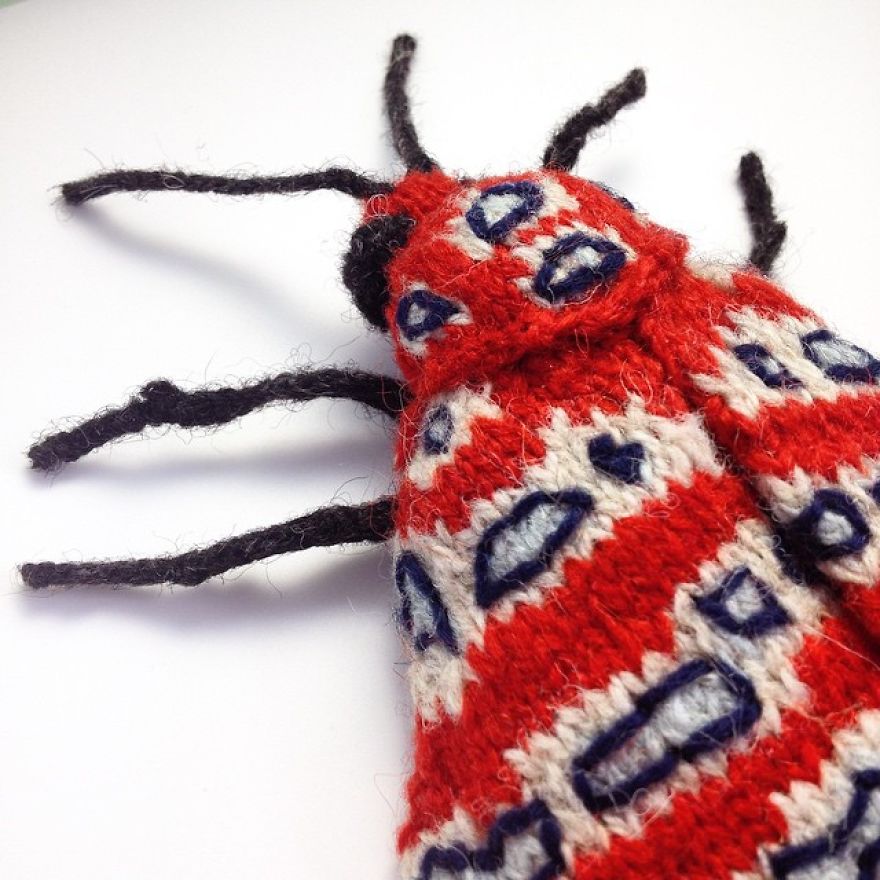 Tatargina Picta Moth