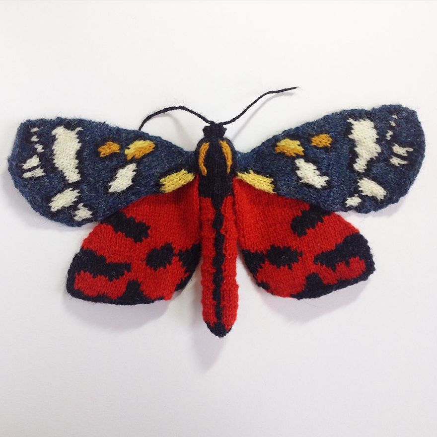 The Scarlet Tiger Moth (Callimorpha Dominula)