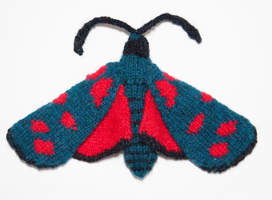 Six Spot Burnet Moth (Zygaena Filipendulae)