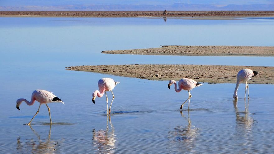 Stunning South America Stunning South America