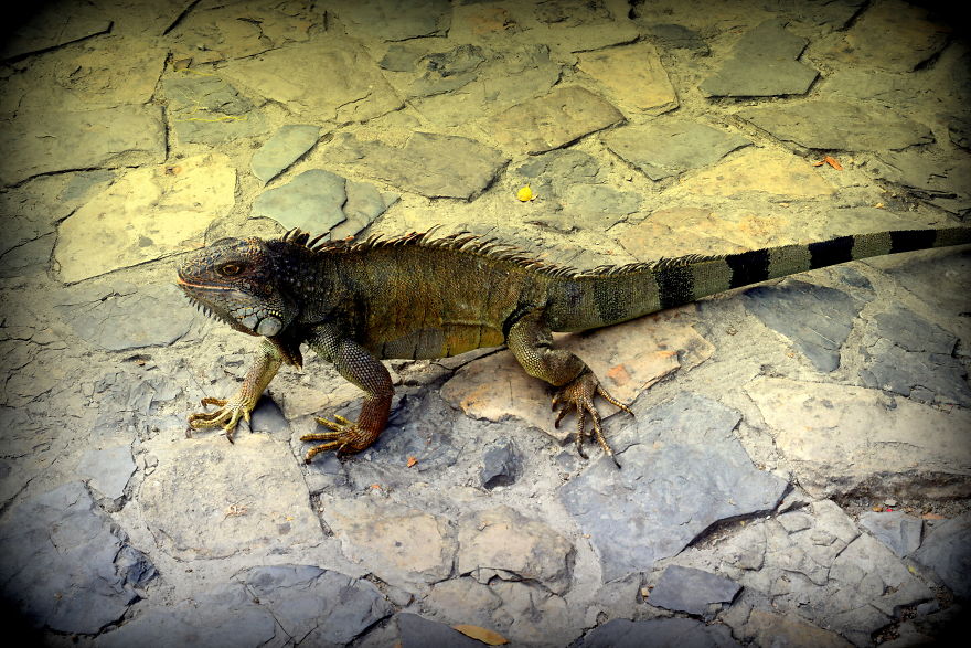 Stunning South America Stunning South America