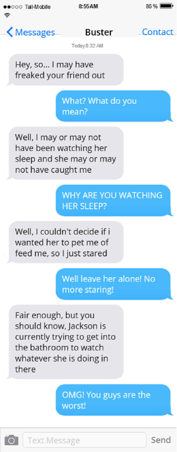 Texts From My Cats Compilation (part 2) Texts From My Cats Compilation (part 2)