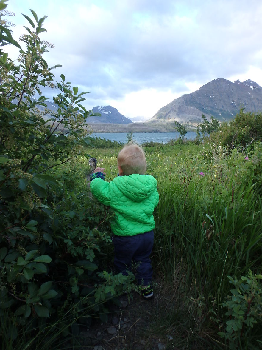 Glacier National Park In May