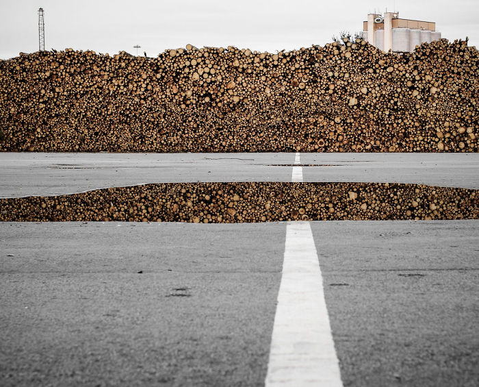 A Pile Of Timber Reflecting In A Puddle