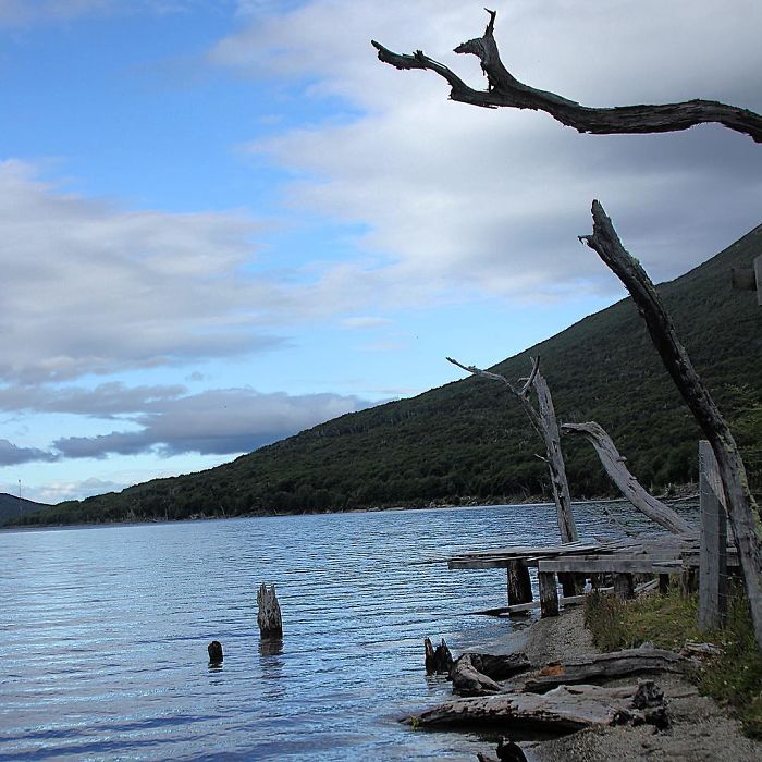 We Transformed A Military Police Car Into A Home On Wheels So That We Could Travel The World While Working We Transformed A Military Police Car Into A Home On Wheels So That We Could Travel The World While Working