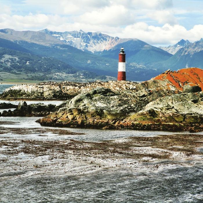 We Transformed A Military Police Car Into A Home On Wheels So That We Could Travel The World While Working We Transformed A Military Police Car Into A Home On Wheels So That We Could Travel The World While Working